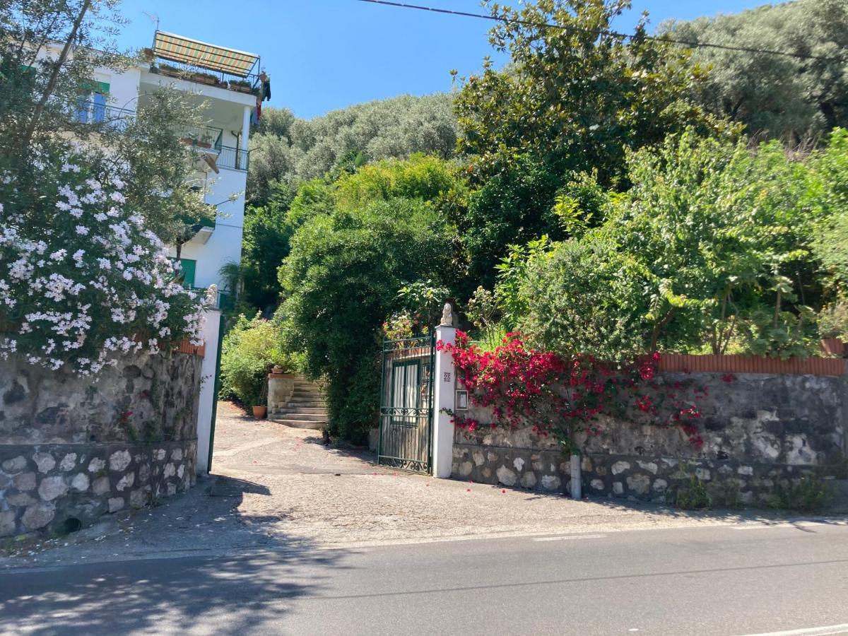 La Terrazza Lejlighed Vico Equense Eksteriør billede