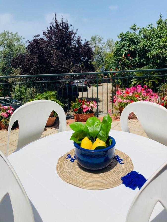 La Terrazza Lejlighed Vico Equense Eksteriør billede
